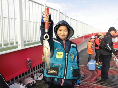 尼崎市立魚つり公園 釣果