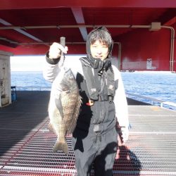 尼崎市立魚つり公園 釣果