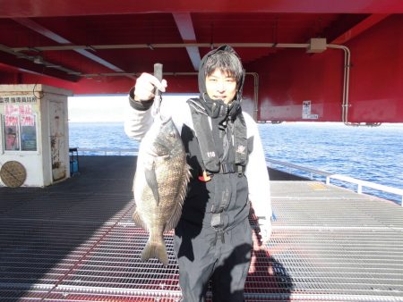 尼崎市立魚つり公園 釣果