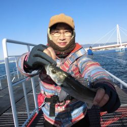 尼崎市立魚つり公園 釣果