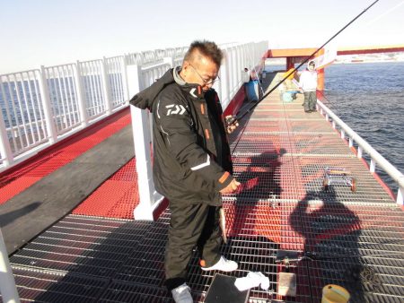 尼崎市立魚つり公園 釣果