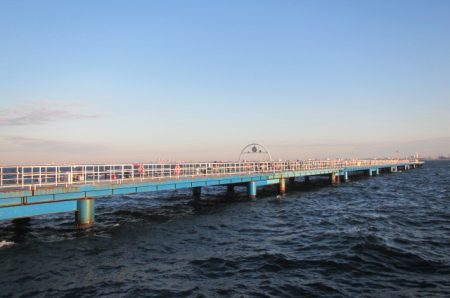 オリジナルメーカー海づり公園(市原市海づり施設) 釣果