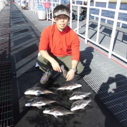 尼崎市立魚つり公園 釣果