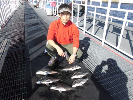 尼崎市立魚つり公園 釣果