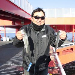 尼崎市立魚つり公園 釣果