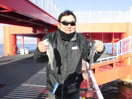 尼崎市立魚つり公園 釣果