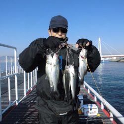 尼崎市立魚つり公園 釣果