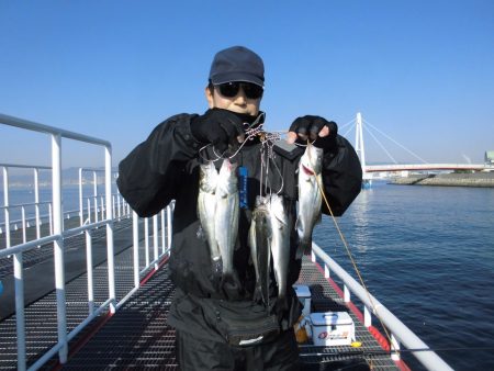尼崎市立魚つり公園 釣果