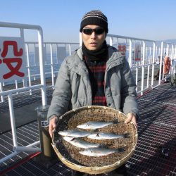 尼崎市立魚つり公園 釣果