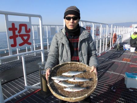 尼崎市立魚つり公園 釣果