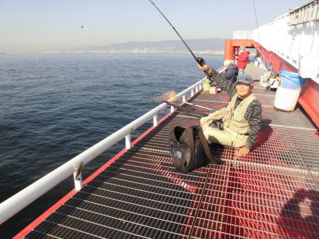 尼崎市立魚つり公園 釣果