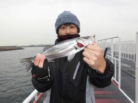 尼崎市立魚つり公園 釣果