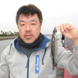 尼崎市立魚つり公園 釣果