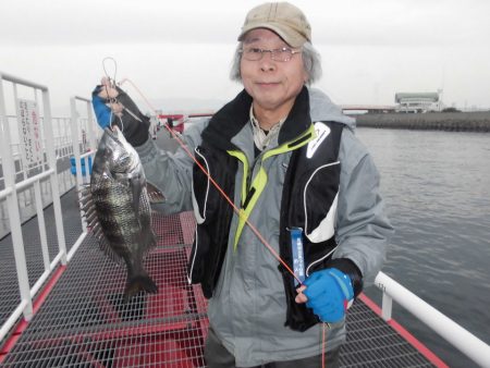 尼崎市立魚つり公園 釣果