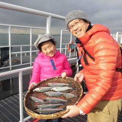 尼崎市立魚つり公園 釣果