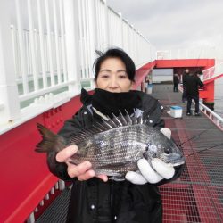 尼崎市立魚つり公園 釣果