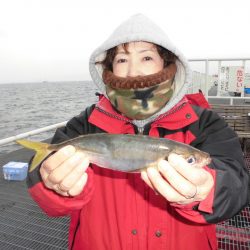 尼崎市立魚つり公園 釣果
