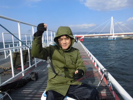 尼崎市立魚つり公園 釣果