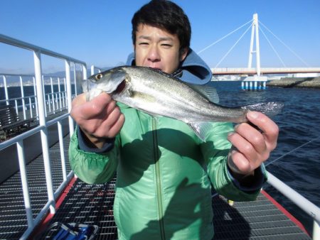 尼崎市立魚つり公園 釣果