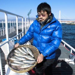 尼崎市立魚つり公園 釣果