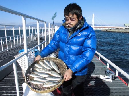 尼崎市立魚つり公園 釣果