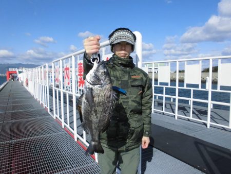 尼崎市立魚つり公園 釣果
