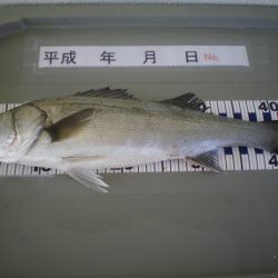 姫路市立遊魚センター 釣果