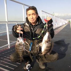 尼崎市立魚つり公園 釣果
