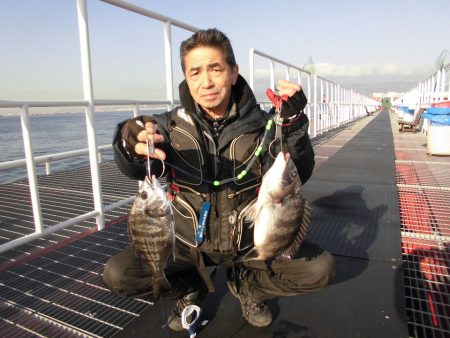 尼崎市立魚つり公園 釣果