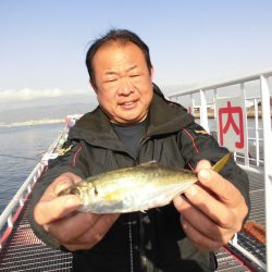 尼崎市立魚つり公園 釣果