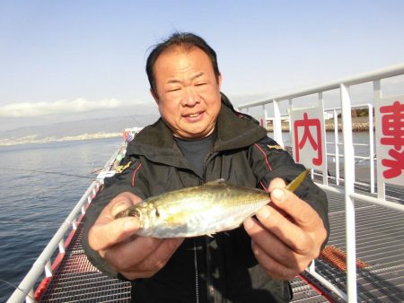 尼崎市立魚つり公園 釣果
