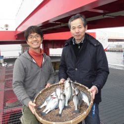 尼崎市立魚つり公園 釣果