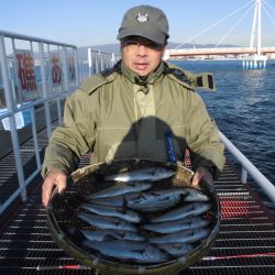 尼崎市立魚つり公園 釣果