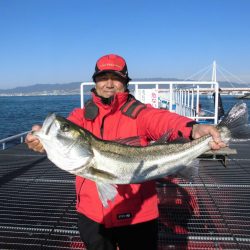 尼崎市立魚つり公園 釣果