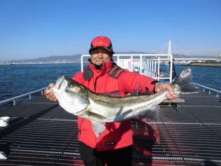 尼崎市立魚つり公園 釣果