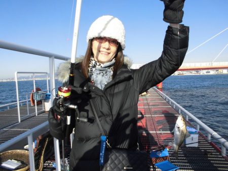 尼崎市立魚つり公園 釣果