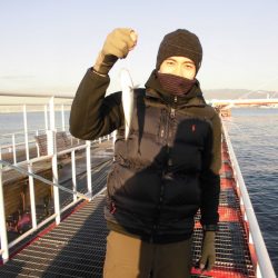 尼崎市立魚つり公園 釣果