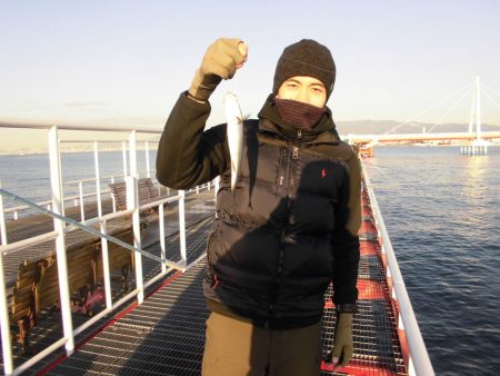 尼崎市立魚つり公園 釣果