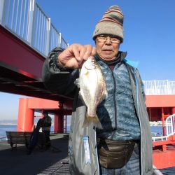 尼崎市立魚つり公園 釣果