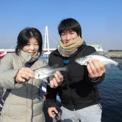 尼崎市立魚つり公園 釣果