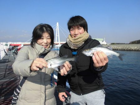 尼崎市立魚つり公園 釣果