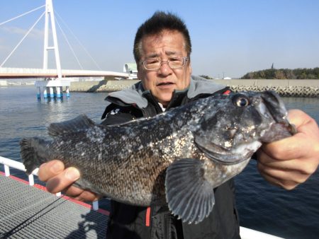 尼崎市立魚つり公園 釣果