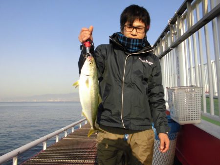 尼崎市立魚つり公園 釣果