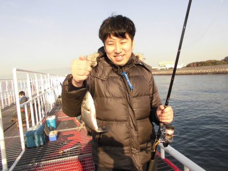 尼崎市立魚つり公園 釣果