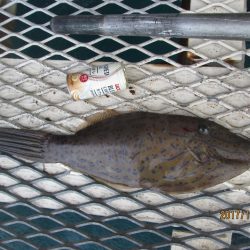 下関フィッシングパーク 釣果