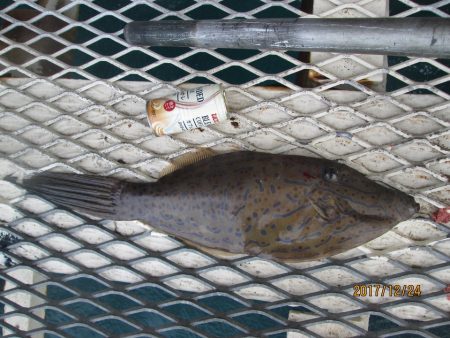 下関フィッシングパーク 釣果