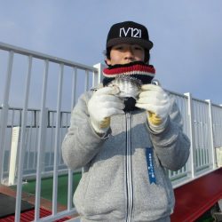 尼崎市立魚つり公園 釣果