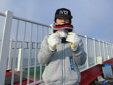 尼崎市立魚つり公園 釣果