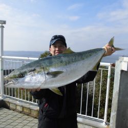 尼崎市立魚つり公園 釣果