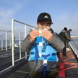 尼崎市立魚つり公園 釣果